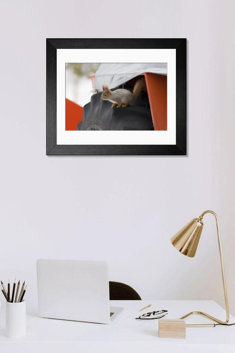 product preview 0