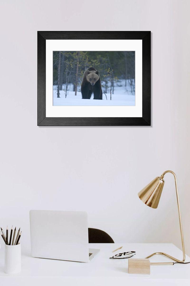 product preview 0