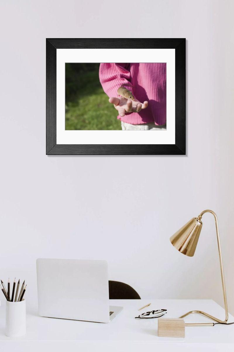 product preview 0