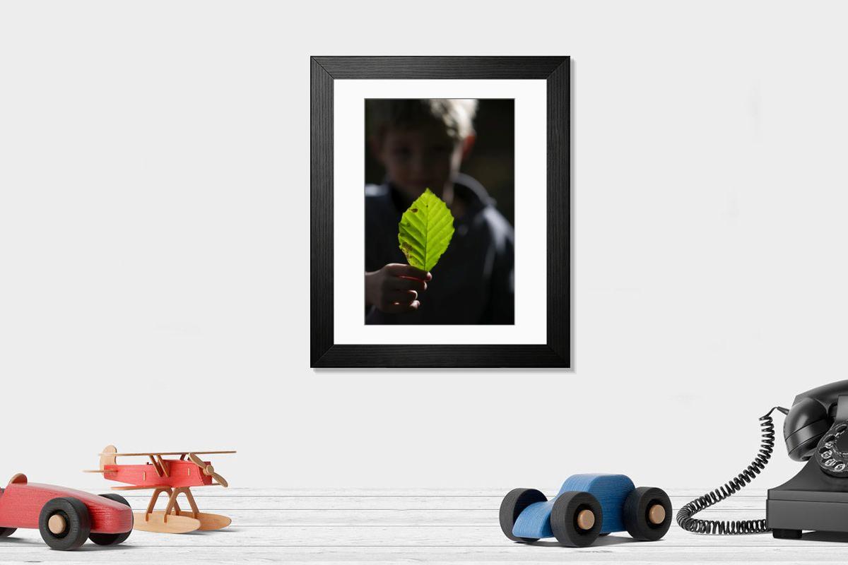 product preview 0