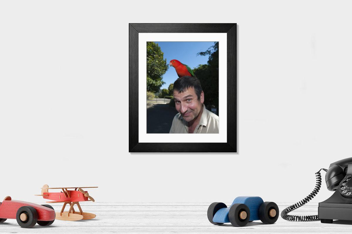 product preview 0