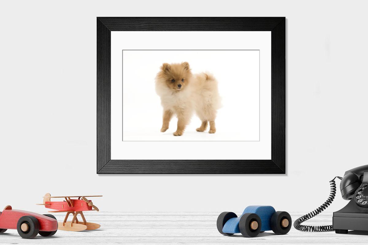 product preview 0