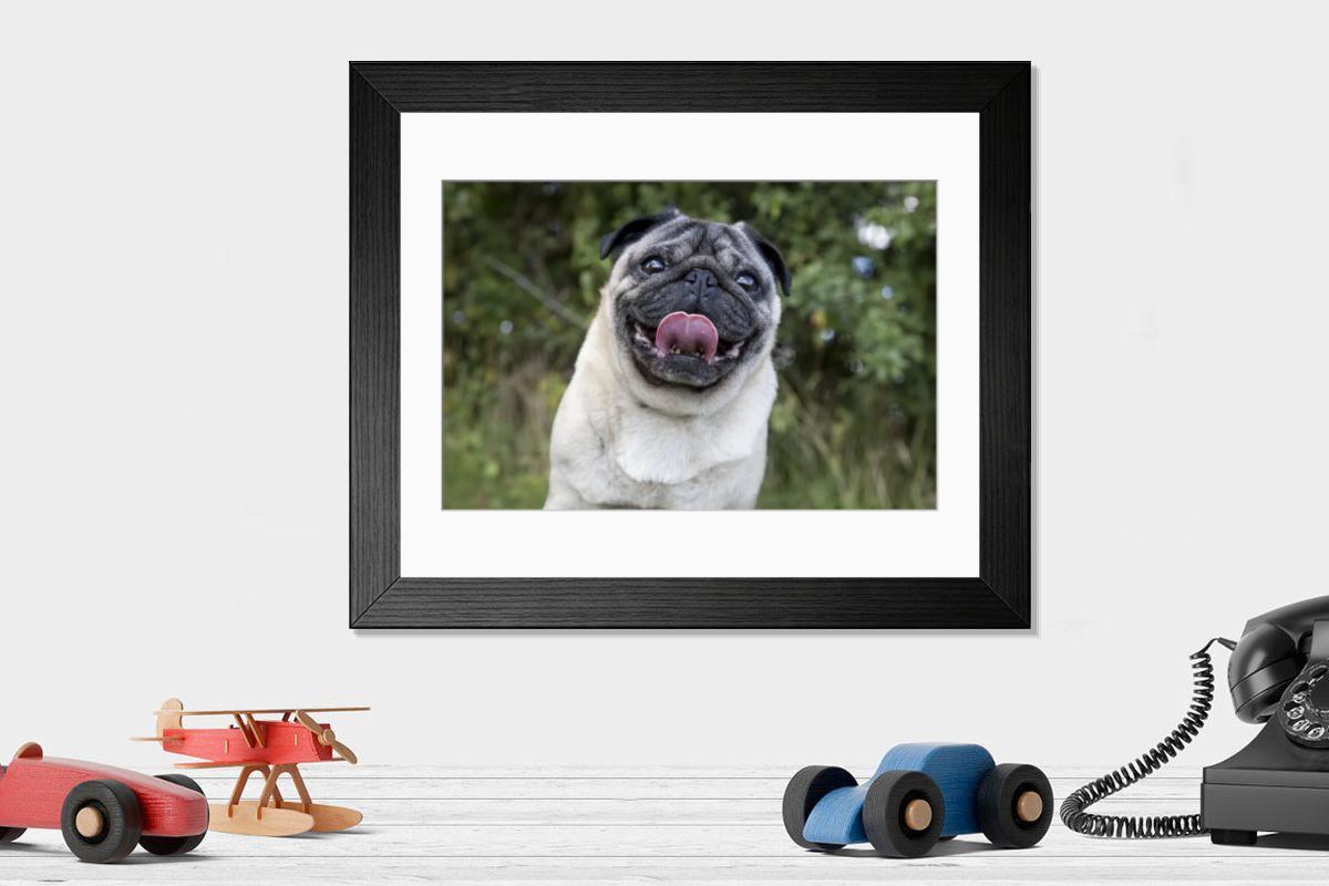 product preview 0