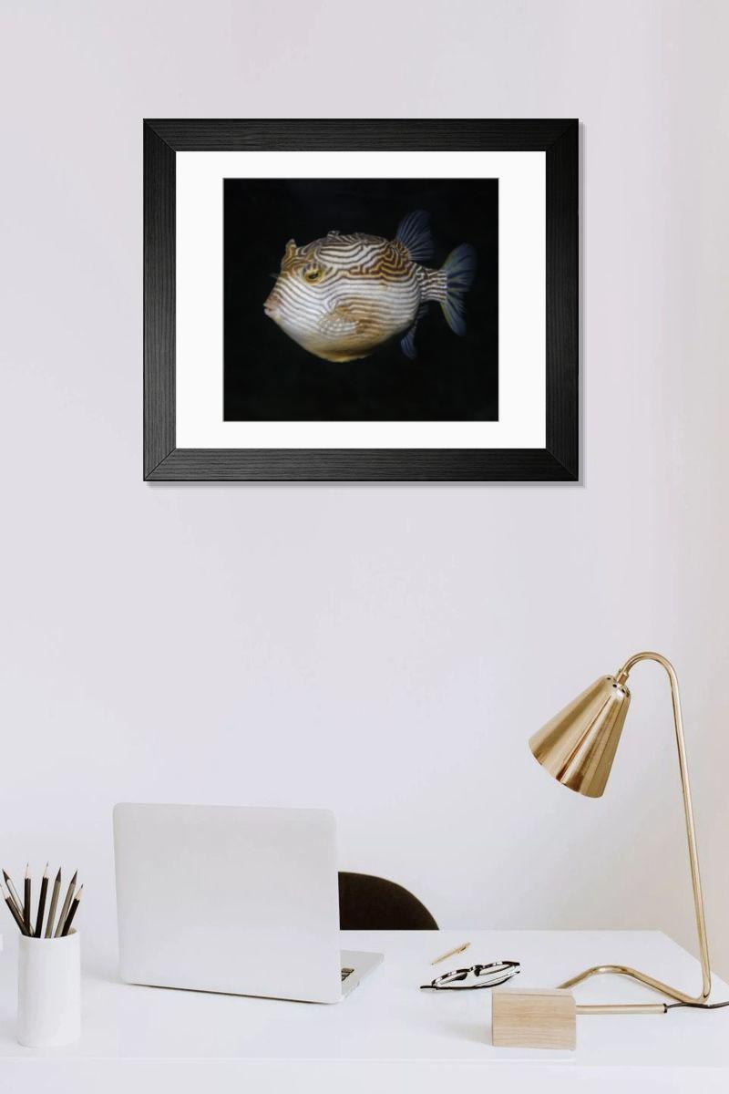 product preview 0