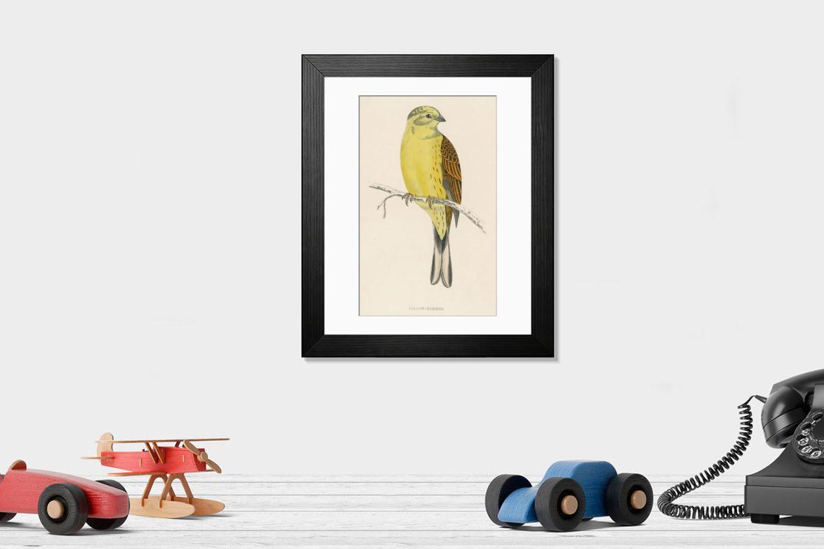 product preview 0
