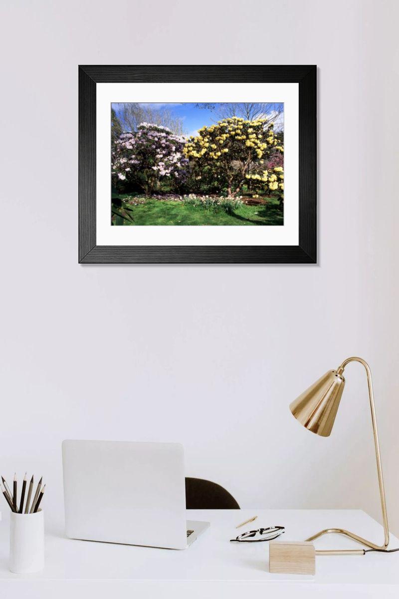 Shown hanging in a room: Modern 14"x12" (36x31cm)