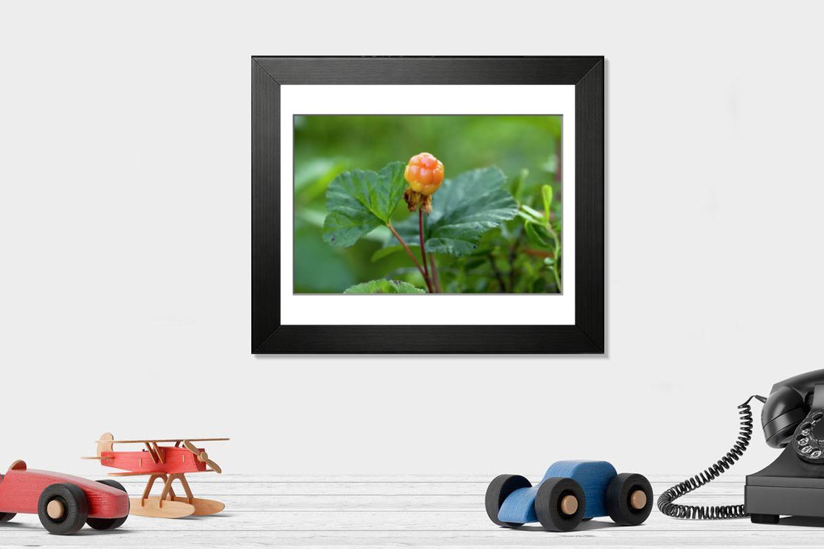 product preview 0