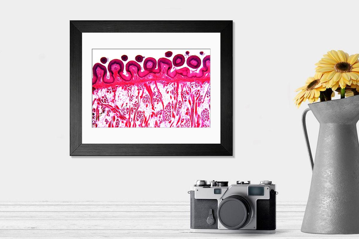 Shown hanging in a room: Modern 14"x12" (36x31cm)
