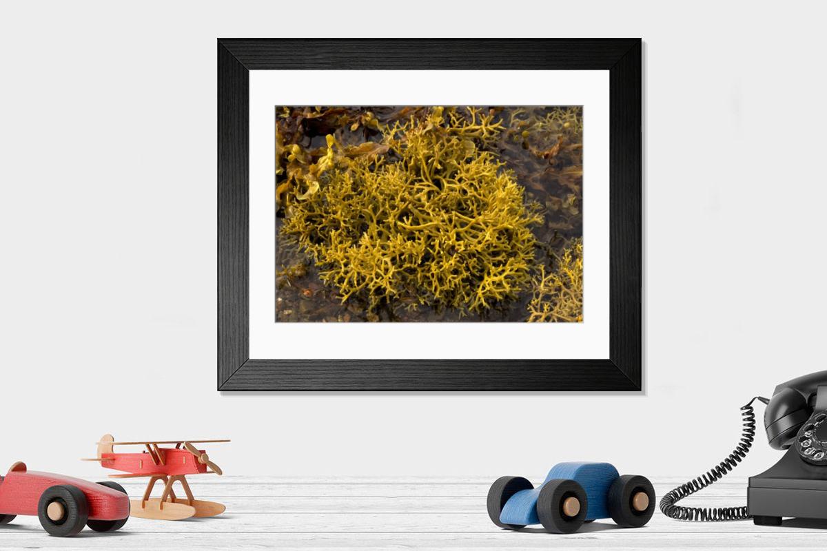 Shown hanging in a room: Modern 14"x12" (36x31cm)