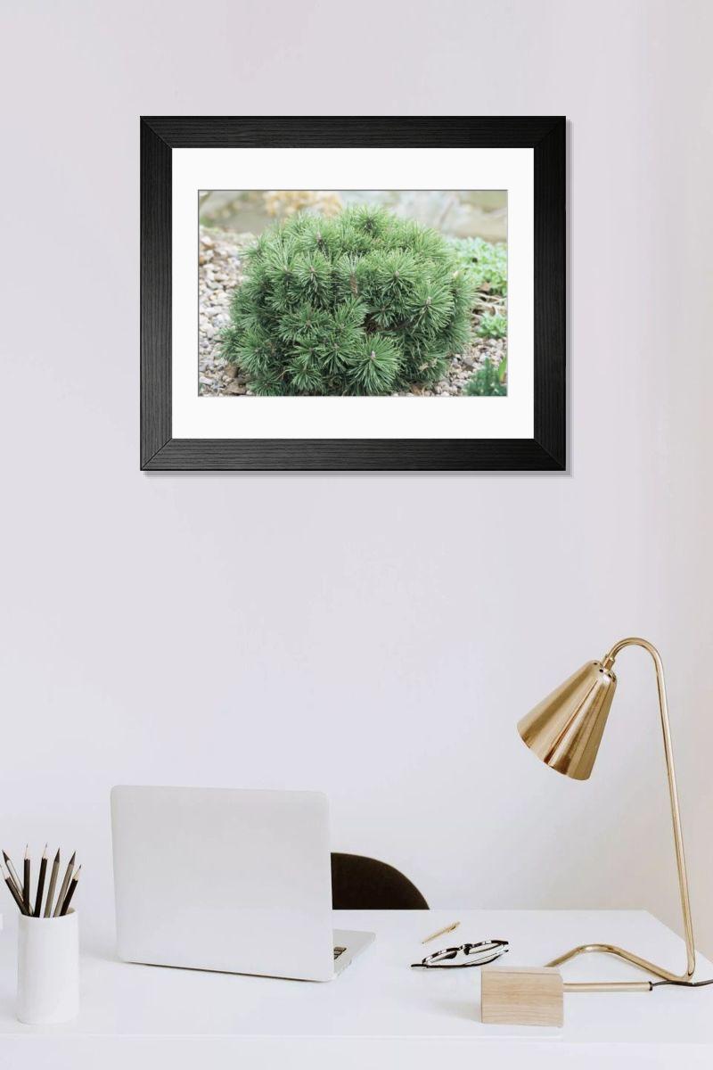 Shown hanging in a room: Modern 14"x12" (36x31cm)