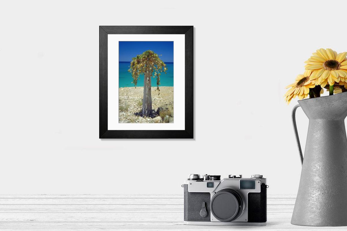 Shown hanging in a room: Modern 14"x12" (36x31cm)