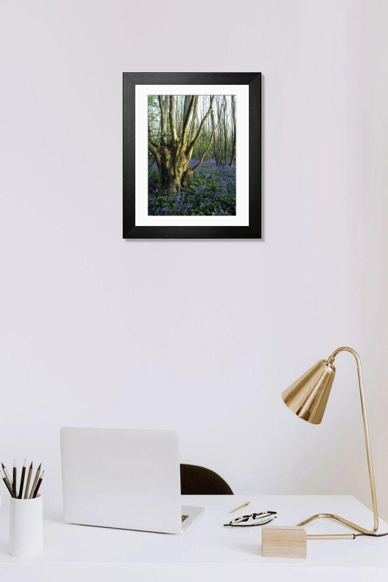 Shown hanging in a room: Modern 14"x12" (36x31cm)