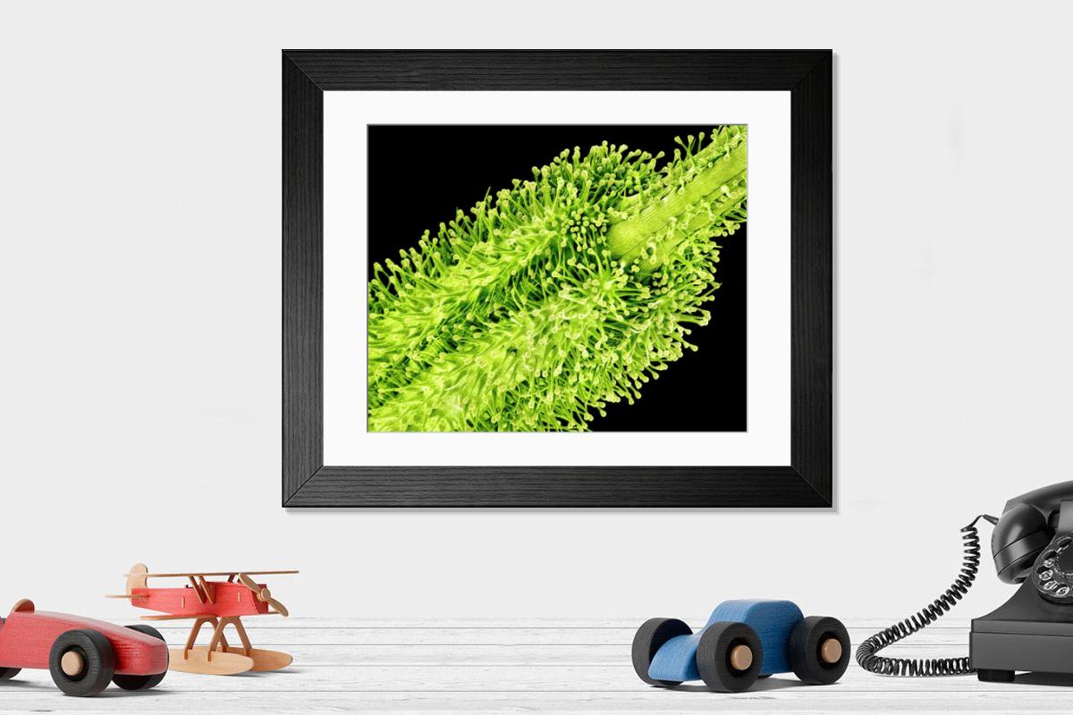Shown hanging in a room: Modern 14"x12" (36x31cm)