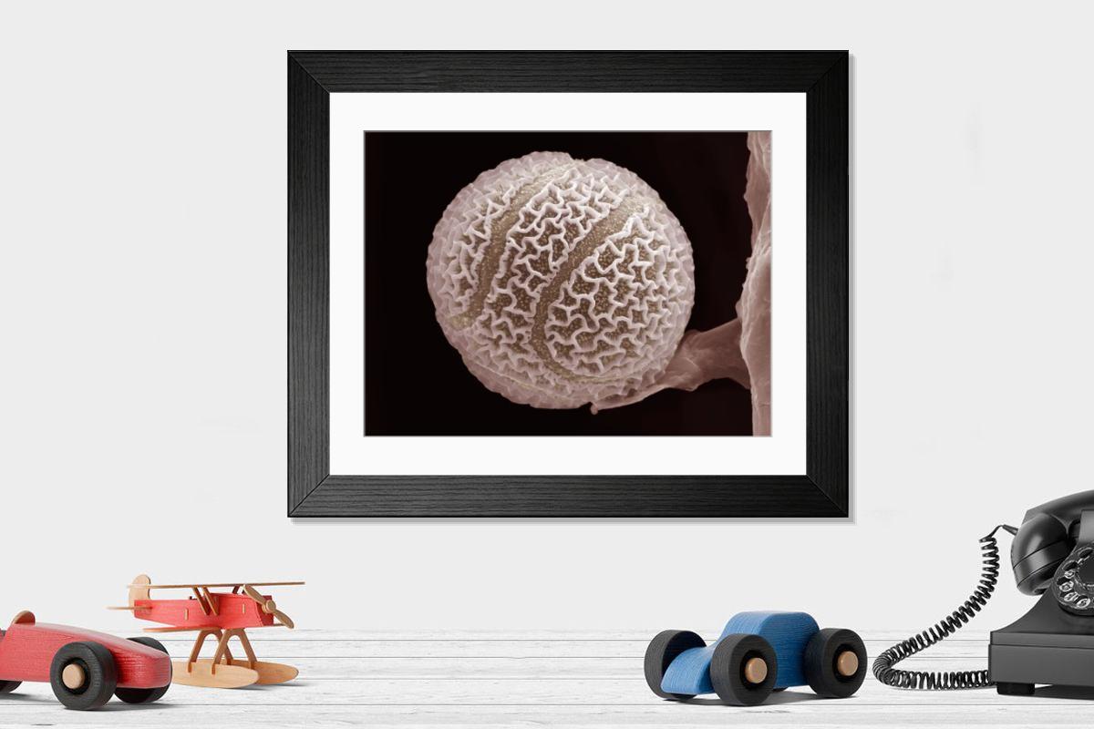 Shown hanging in a room: Modern 14"x12" (36x31cm)