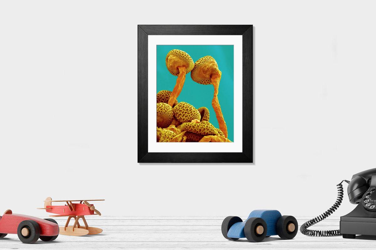 Shown hanging in a room: Modern 14"x12" (36x31cm)