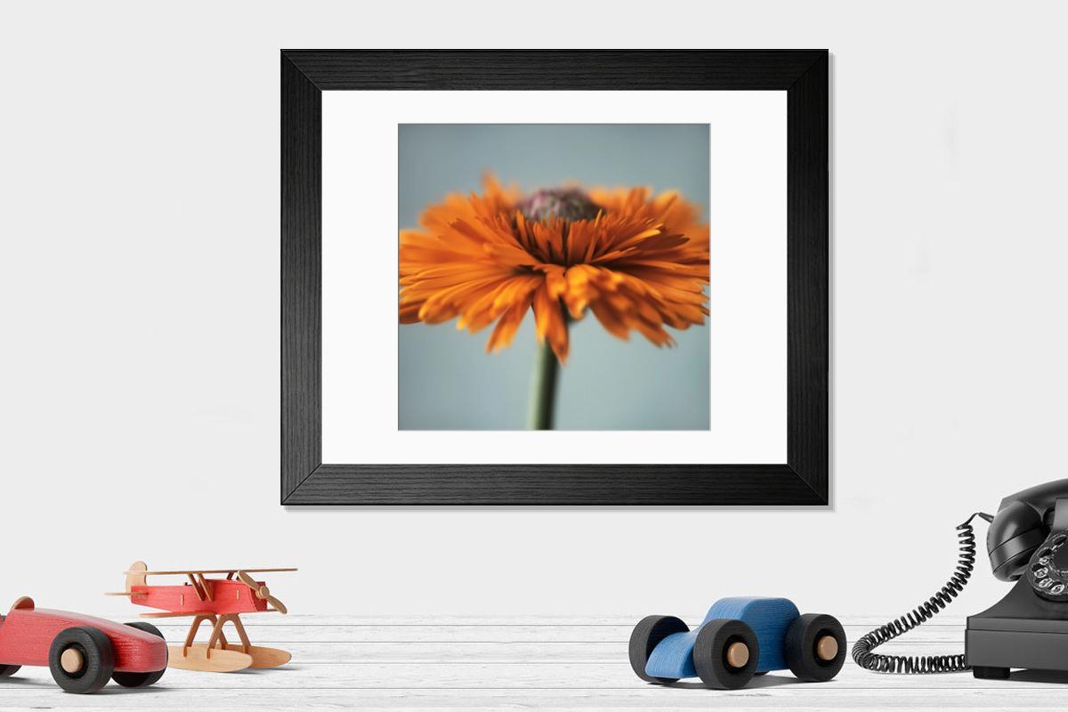 Shown hanging in a room: Modern 14"x12" (36x31cm)