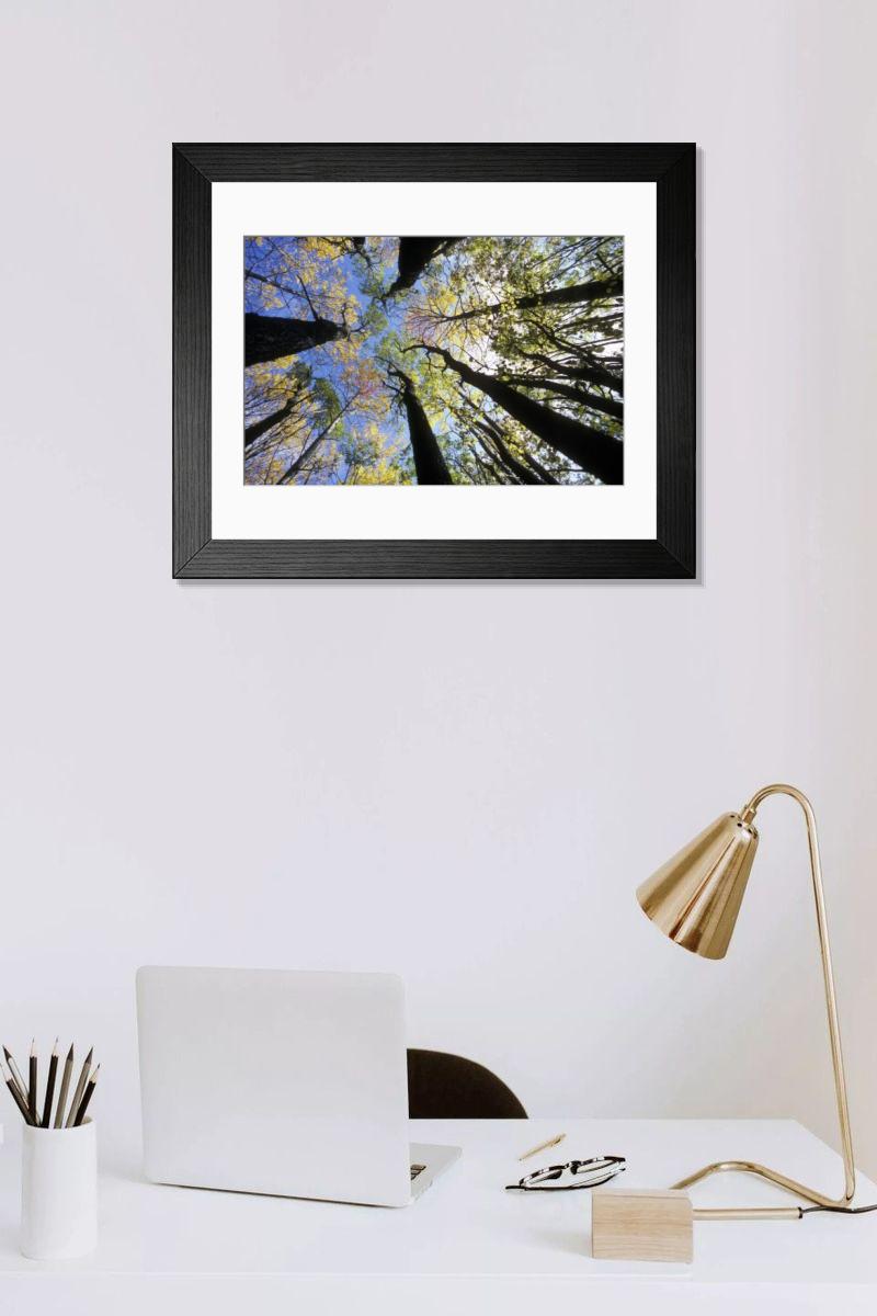 Shown hanging in a room: Modern 14"x12" (36x31cm)