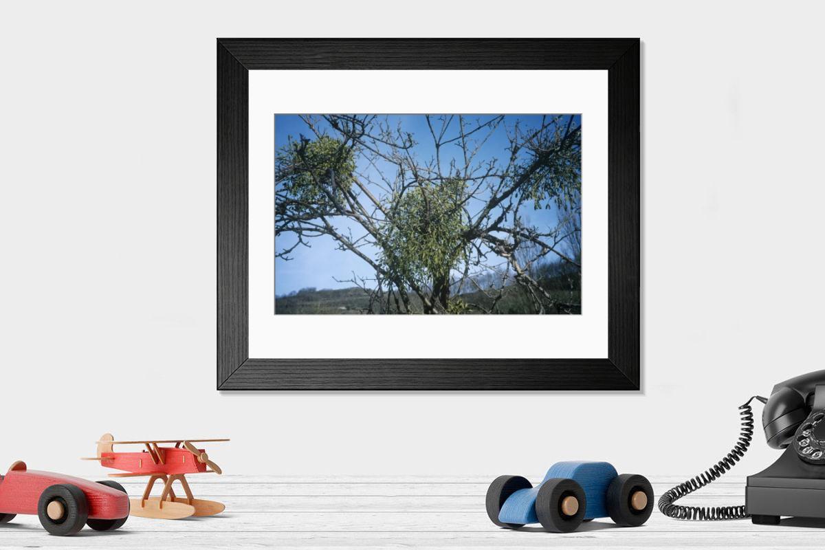 Shown hanging in a room: Modern 14"x12" (36x31cm)