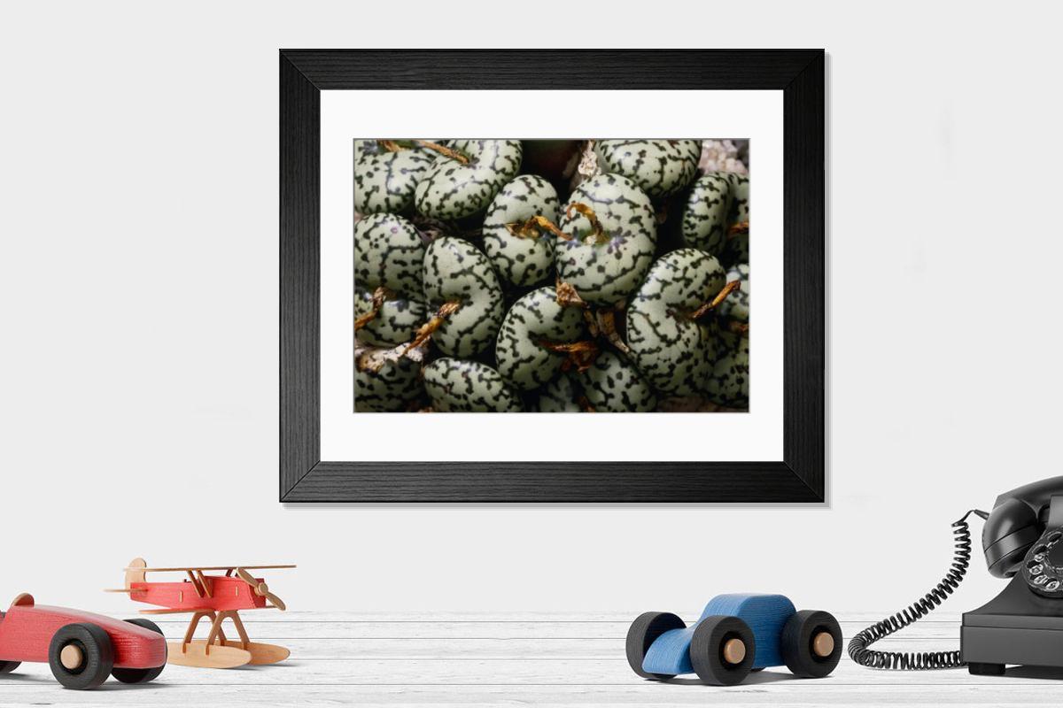 Shown hanging in a room: Modern 14"x12" (36x31cm)