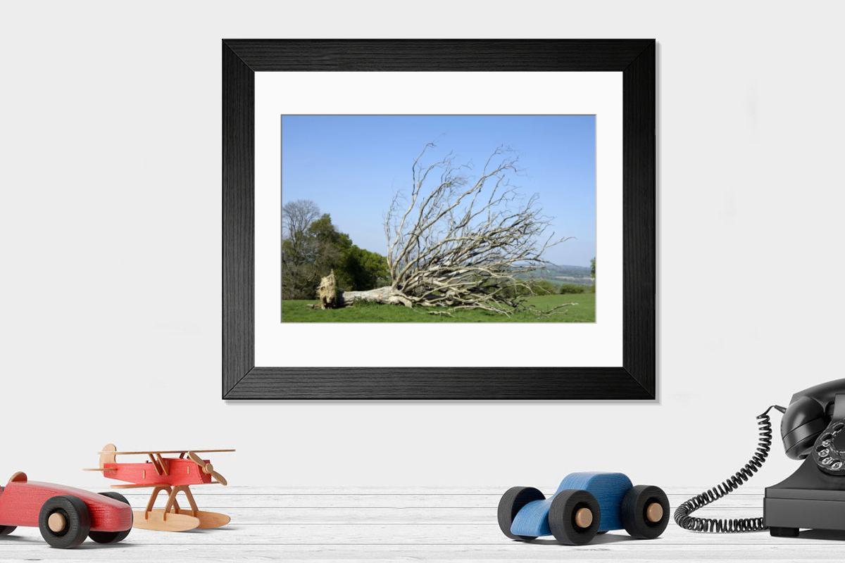 Shown hanging in a room: Modern 14"x12" (36x31cm)