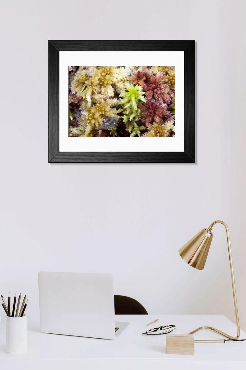 Shown hanging in a room: Modern 14"x12" (36x31cm)