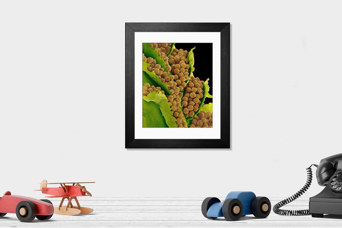 Shown hanging in a room: Modern 14"x12" (36x31cm)