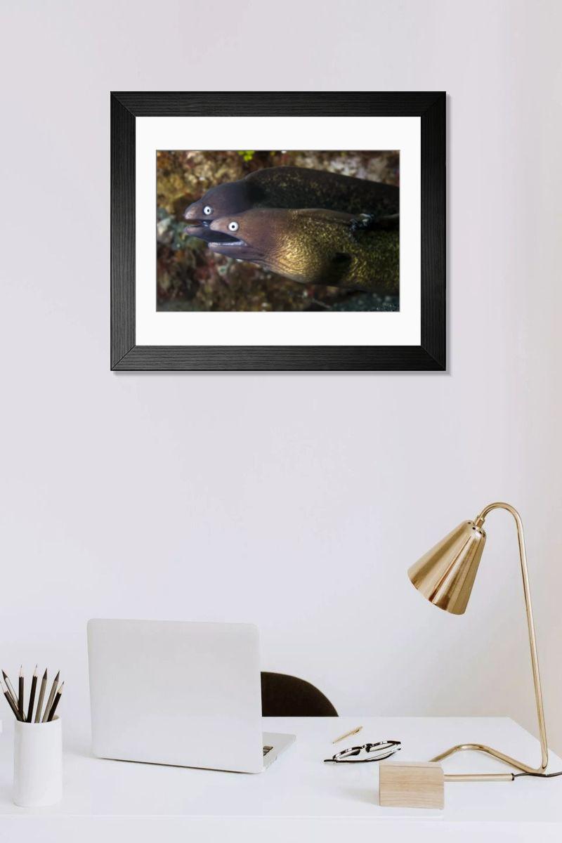 Shown hanging in a room: Modern 14"x12" (36x31cm)
