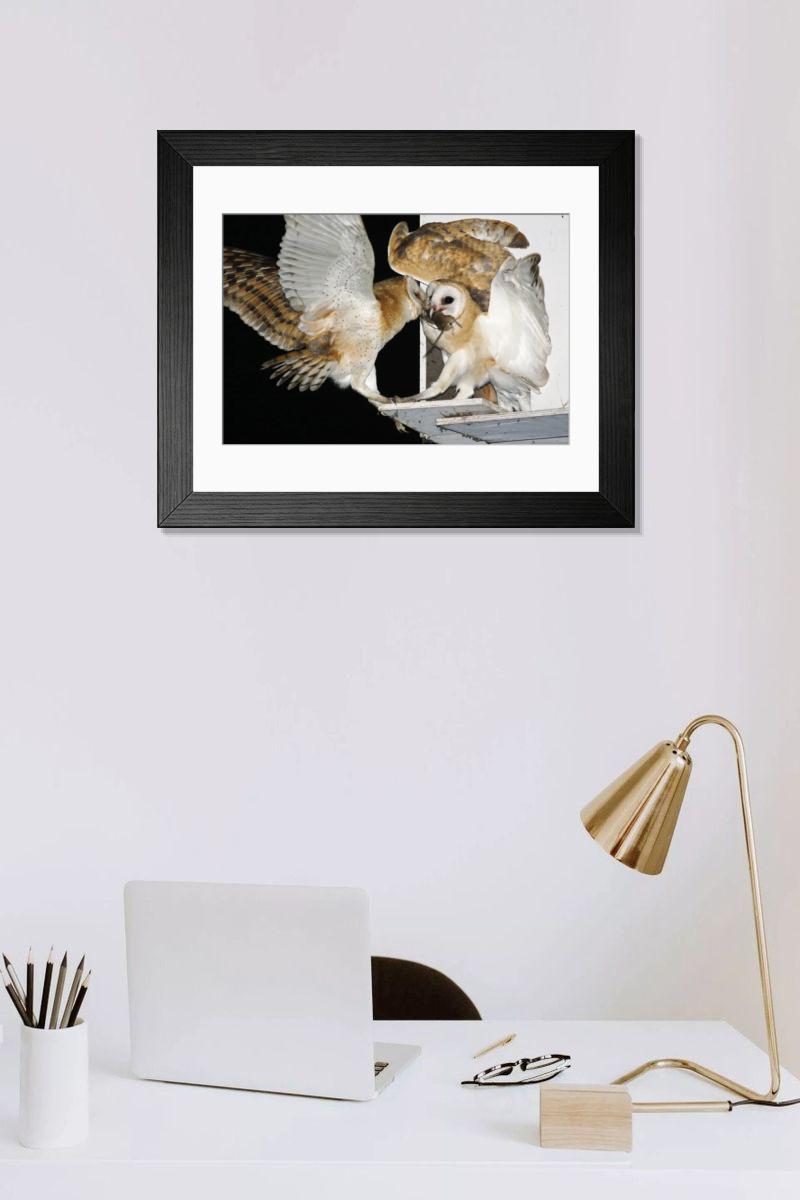 Shown hanging in a room: Modern 14"x12" (36x31cm)
