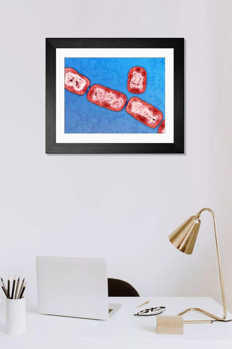 Shown hanging in a room: Modern 14"x12" (36x31cm)