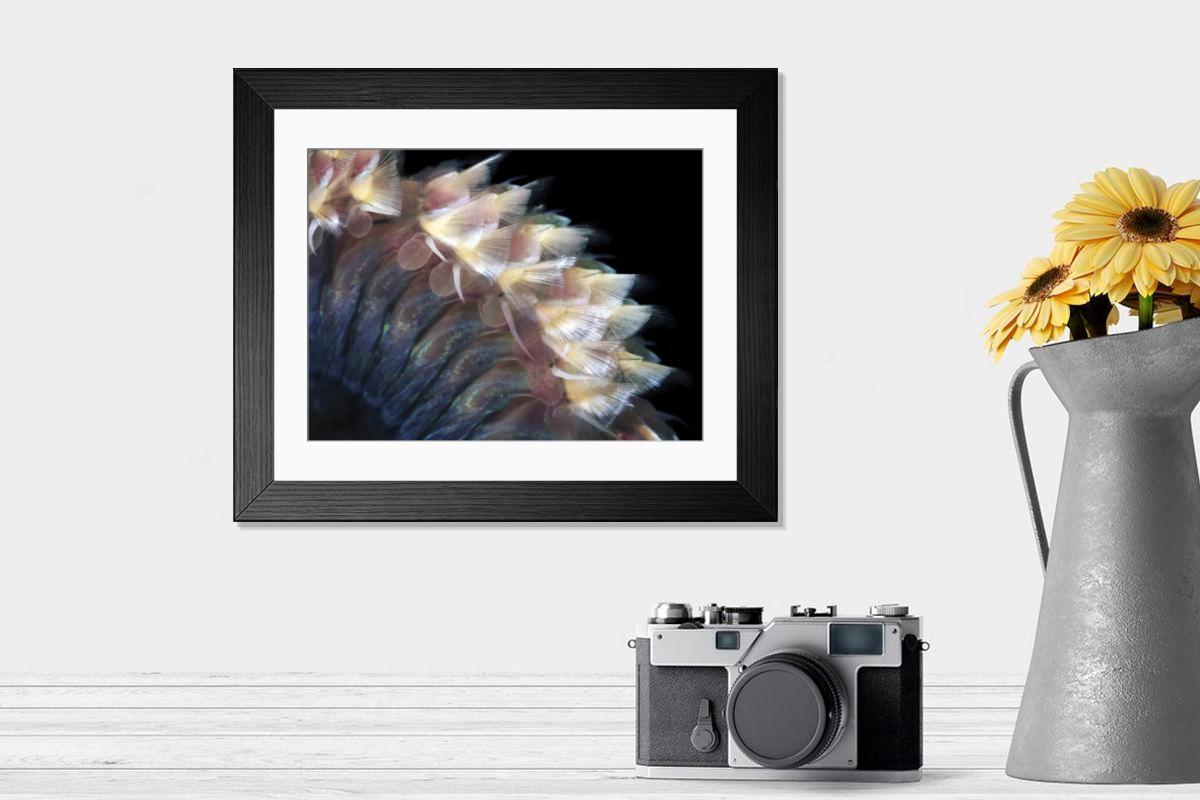 Shown hanging in a room: Modern 14"x12" (36x31cm)