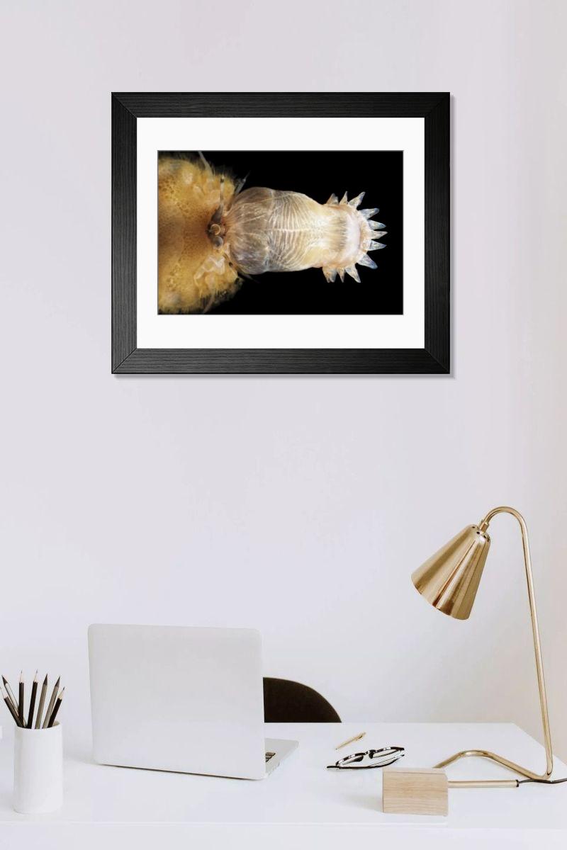 Shown hanging in a room: Modern 14"x12" (36x31cm)