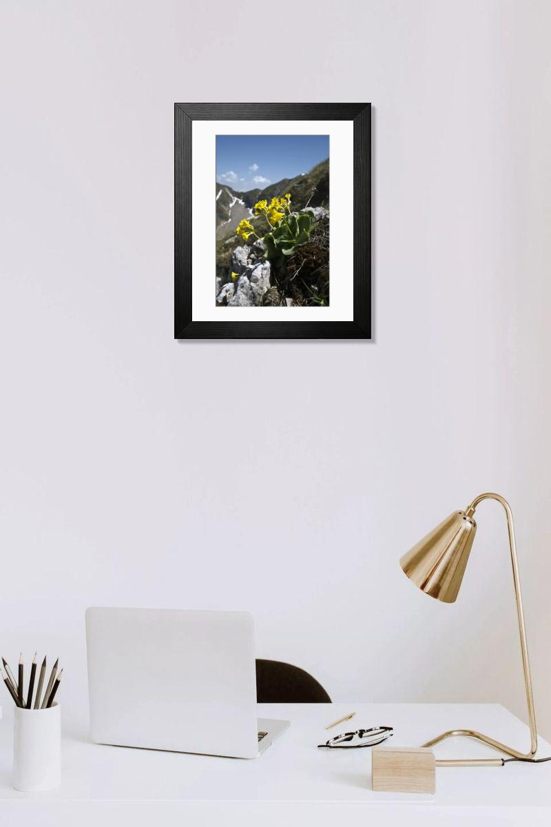 Shown hanging in a room: Modern 14"x12" (36x31cm)
