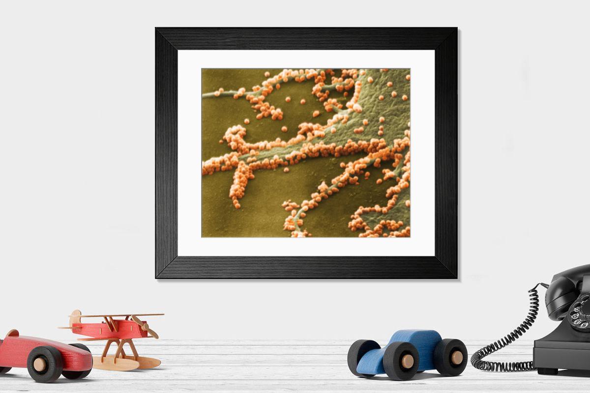 Shown hanging in a room: Modern 14"x12" (36x31cm)