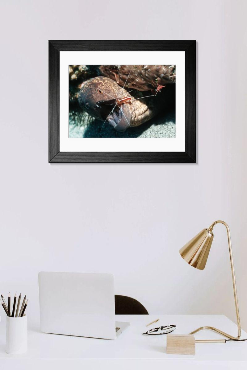 Shown hanging in a room: Modern 14"x12" (36x31cm)