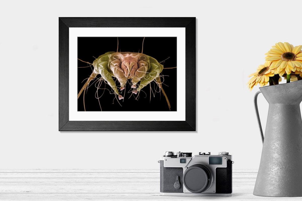Shown hanging in a room: Modern 14"x12" (36x31cm)