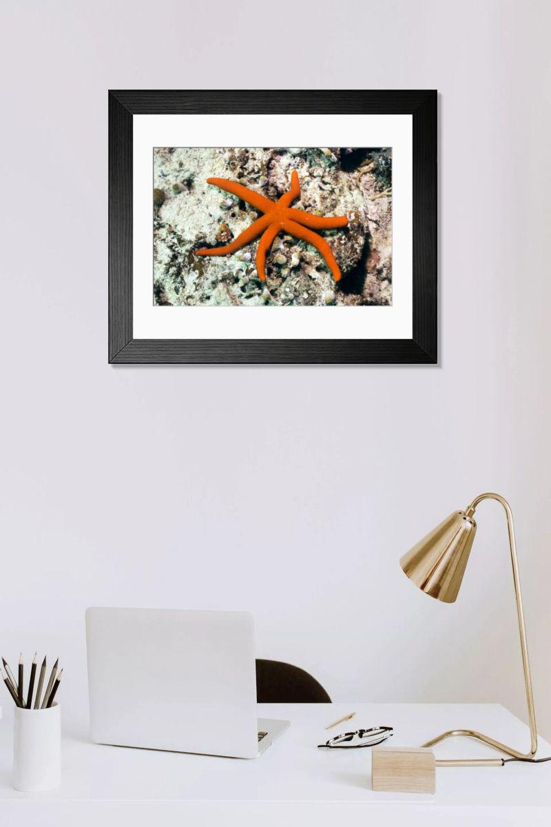 Shown hanging in a room: Modern 14"x12" (36x31cm)