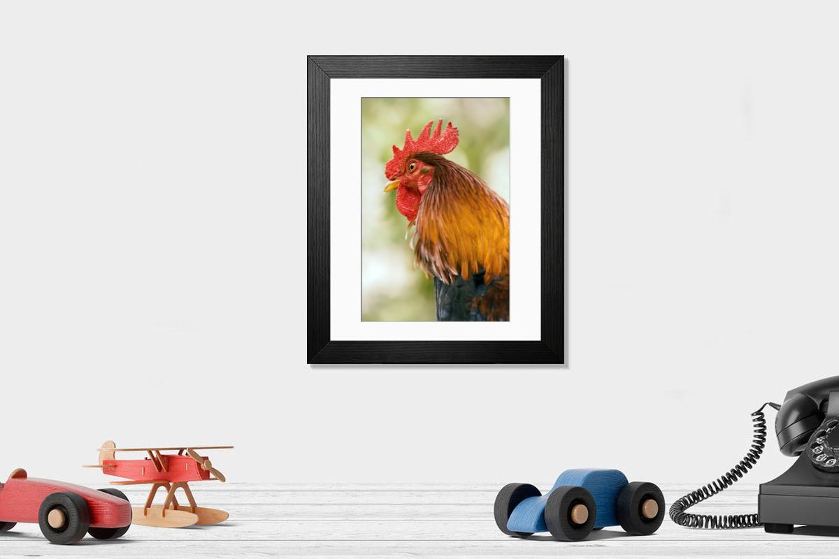 Shown hanging in a room: Modern 14"x12" (36x31cm)
