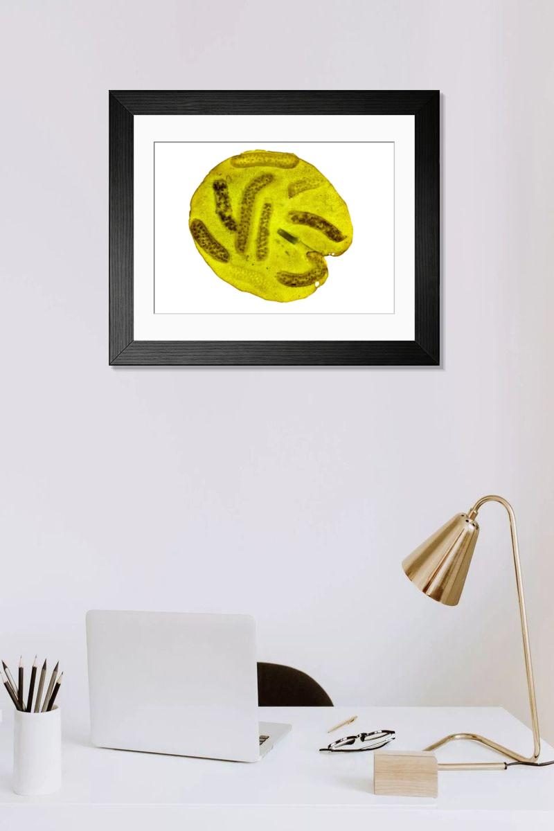 Shown hanging in a room: Modern 14"x12" (36x31cm)