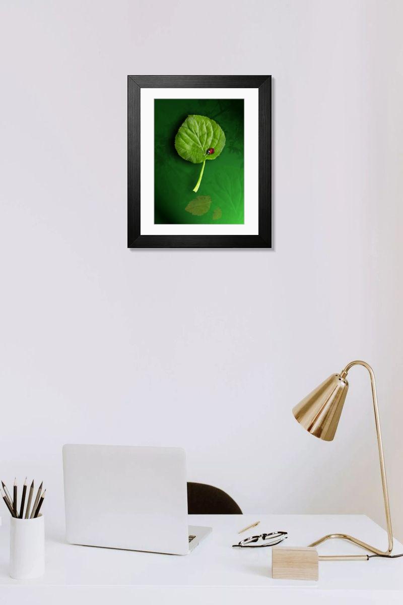 Shown hanging in a room: Modern 14"x12" (36x31cm)