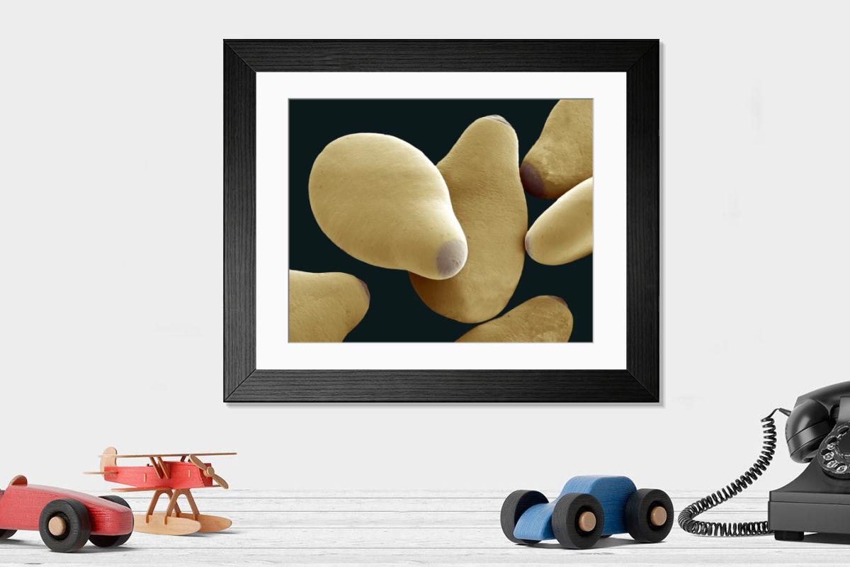 Shown hanging in a room: Modern 14"x12" (36x31cm)