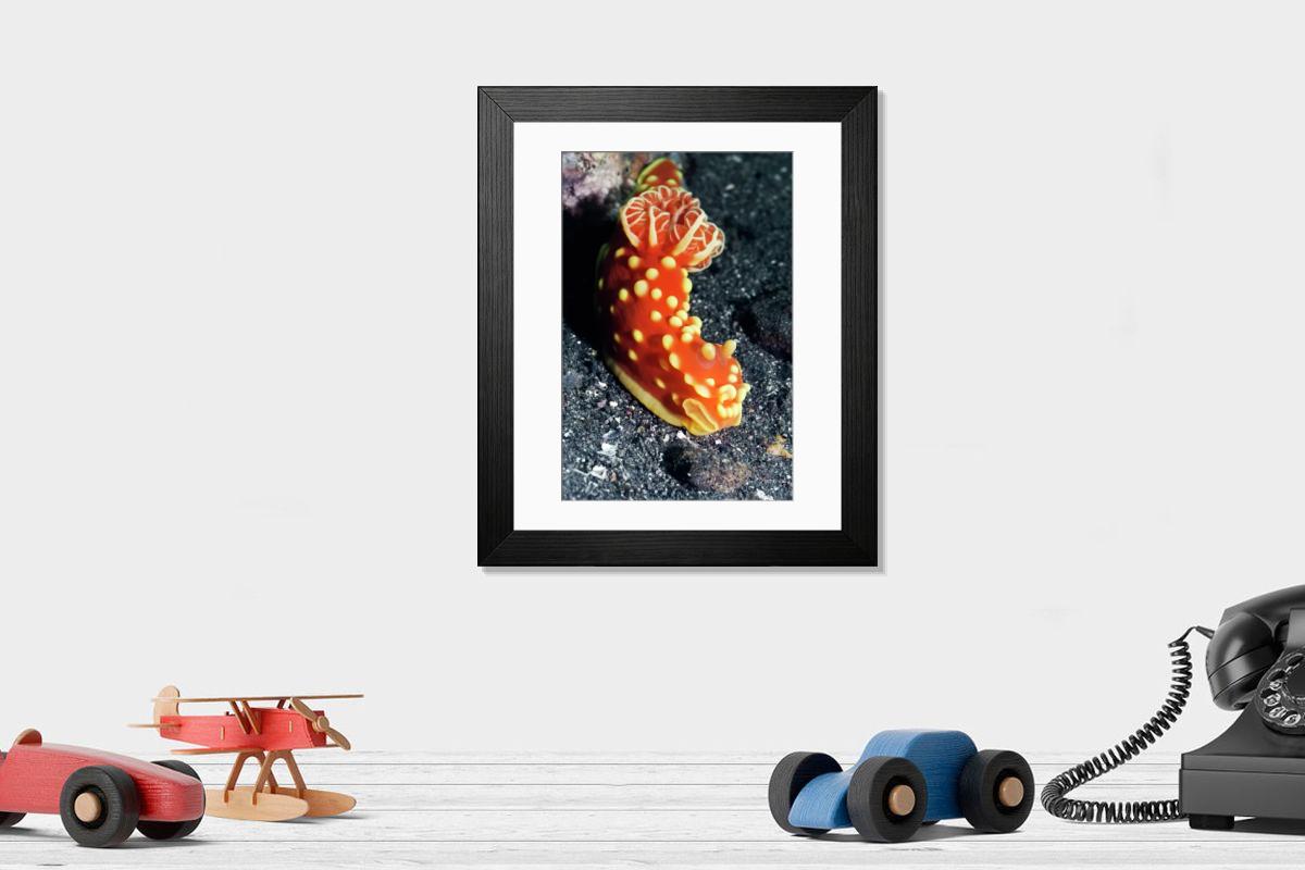 Shown hanging in a room: Modern 14"x12" (36x31cm)