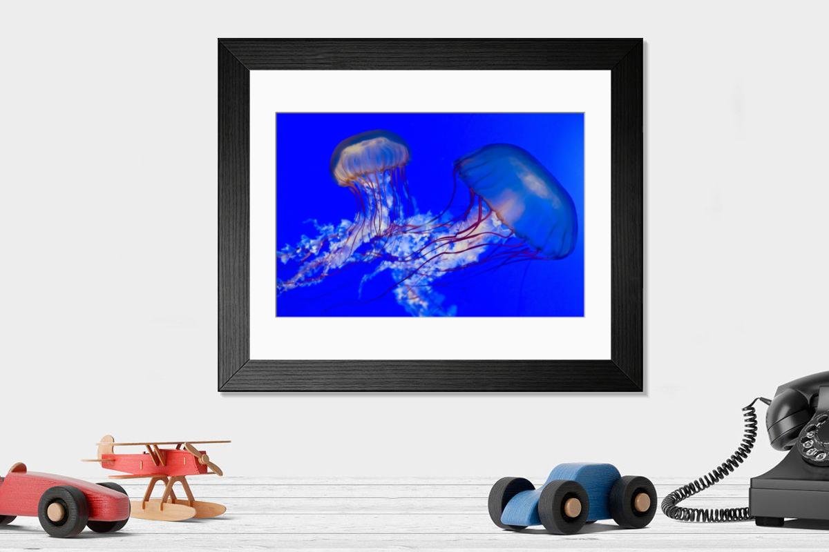 Shown hanging in a room: Modern 14"x12" (36x31cm)
