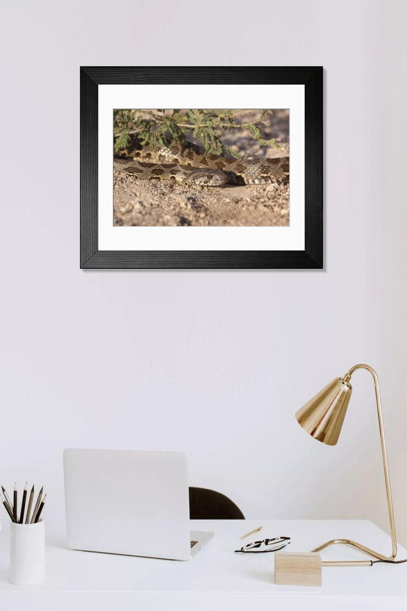 Shown hanging in a room: Modern 14"x12" (36x31cm)