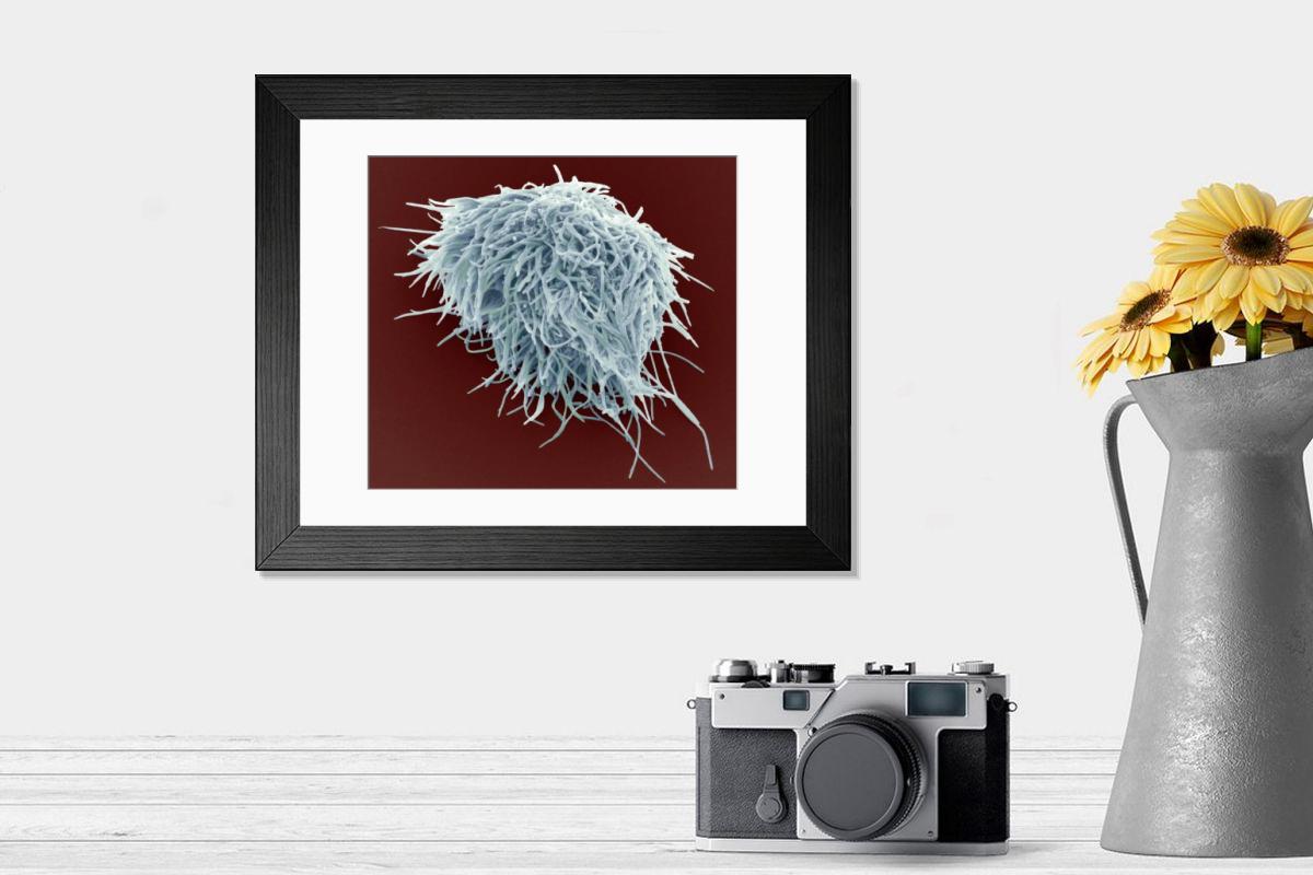 Shown hanging in a room: Modern 14"x12" (36x31cm)