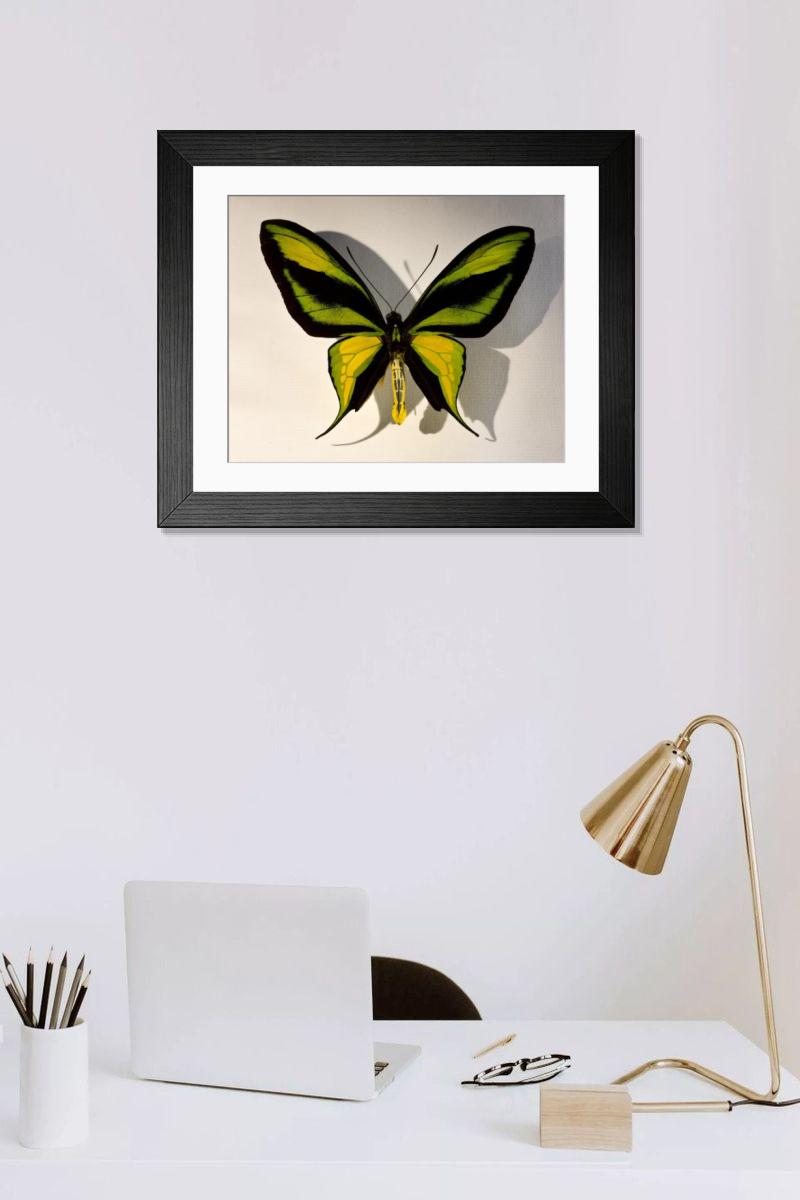 Shown hanging in a room: Modern 14"x12" (36x31cm)