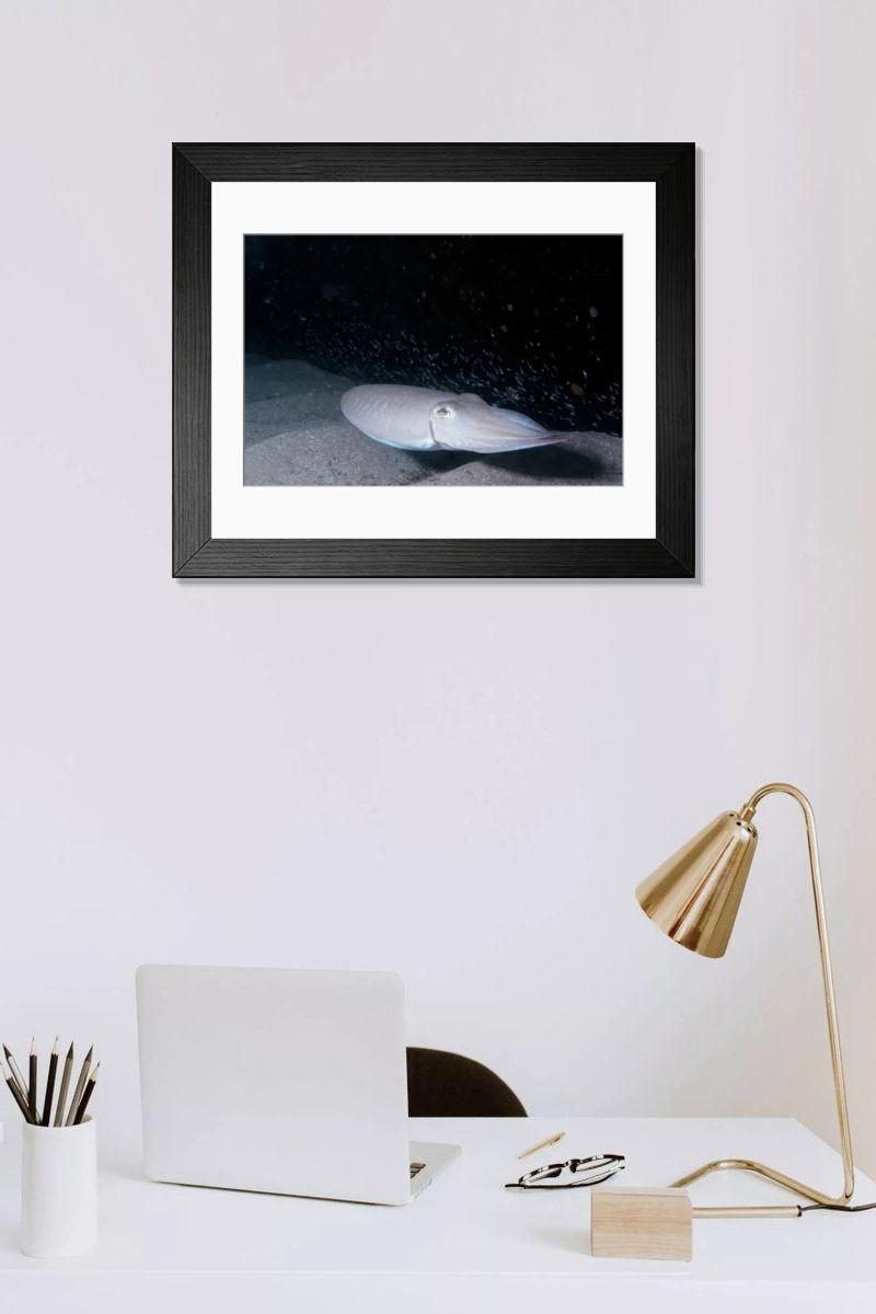 Shown hanging in a room: Modern 14"x12" (36x31cm)