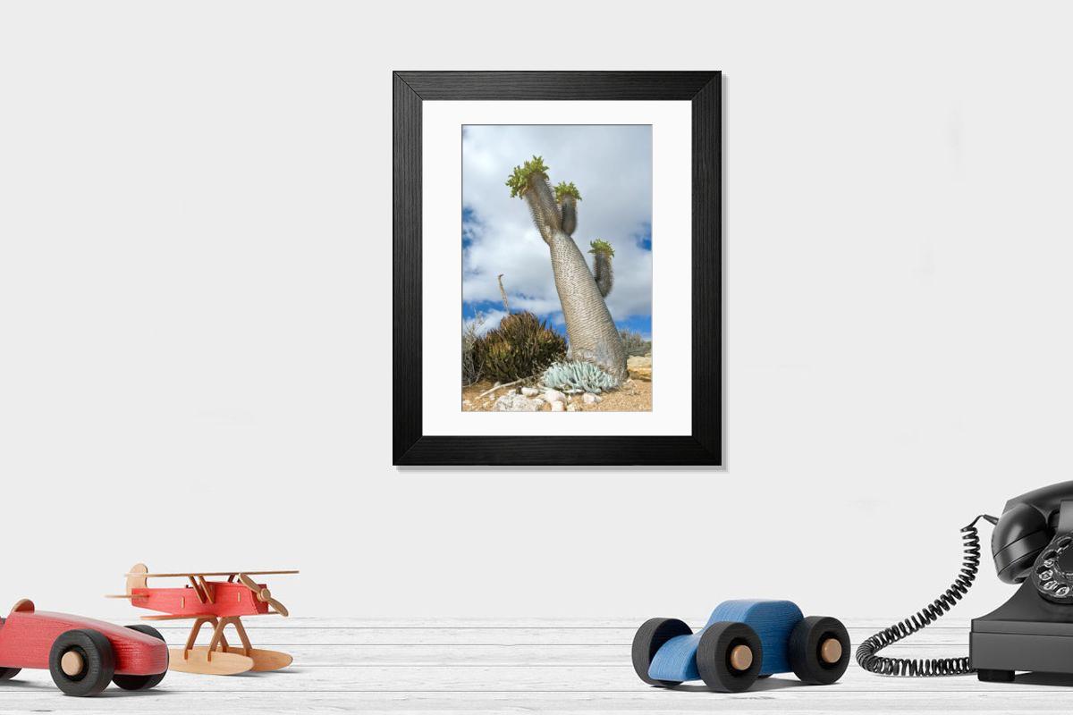 Shown hanging in a room: Modern 14"x12" (36x31cm)