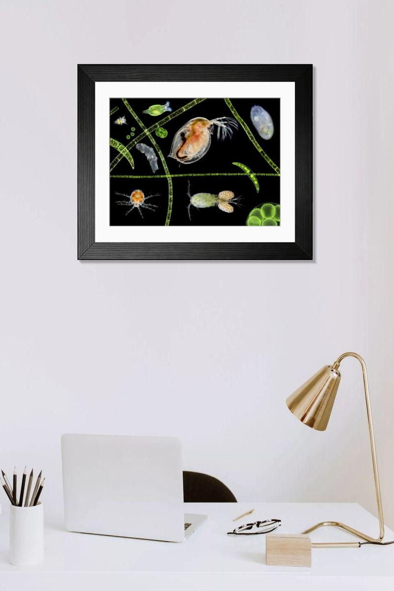 Shown hanging in a room: Modern 14"x12" (36x31cm)