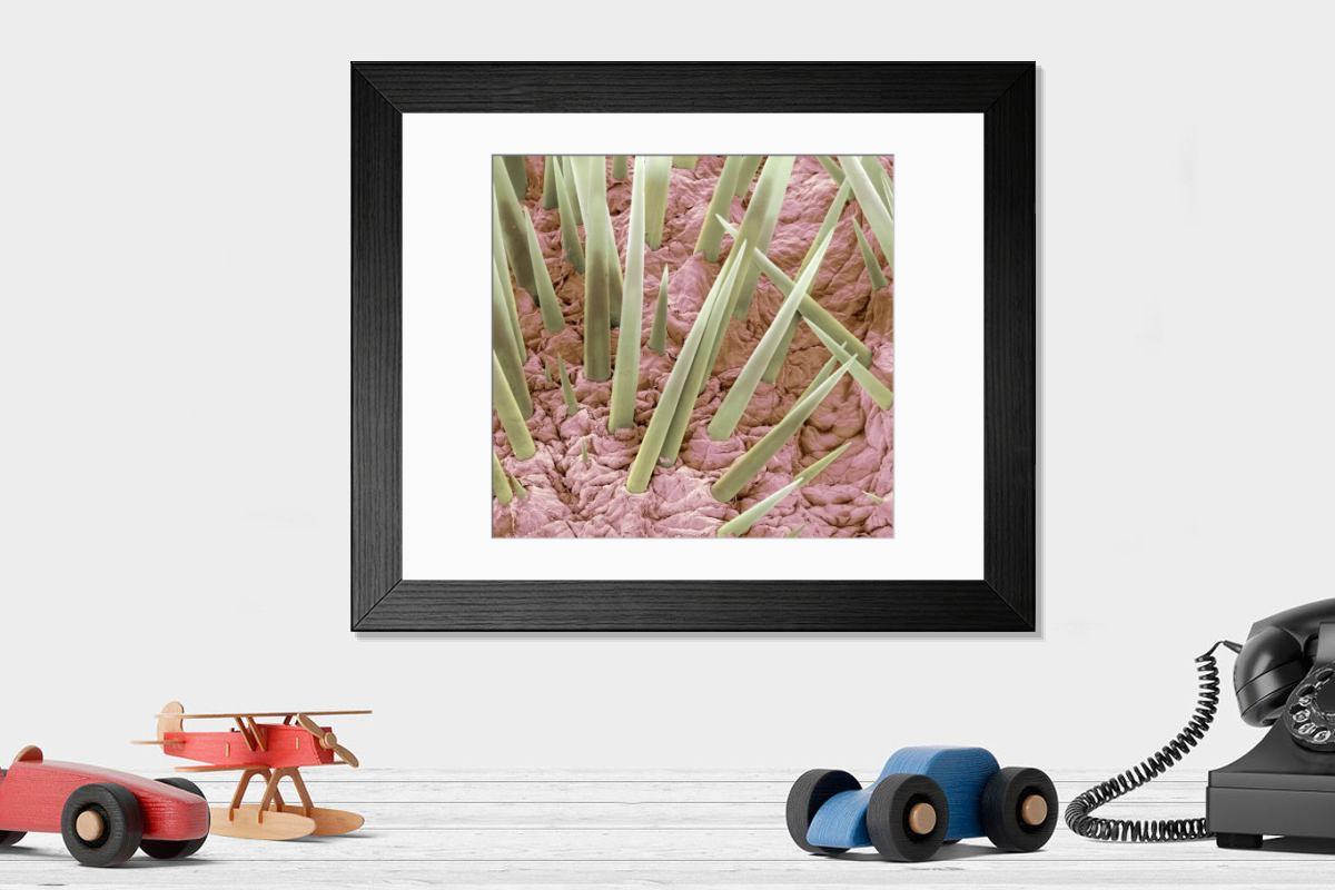 Shown hanging in a room: Modern 14"x12" (36x31cm)