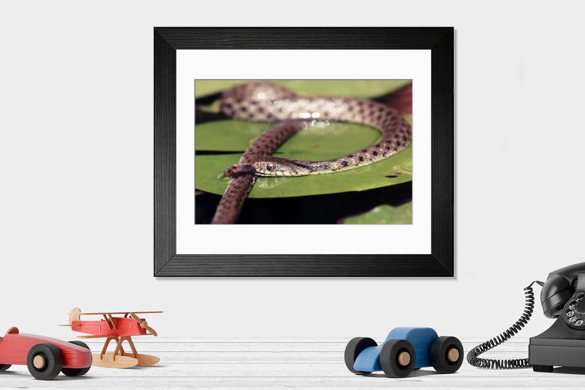 Shown hanging in a room: Modern 14"x12" (36x31cm)